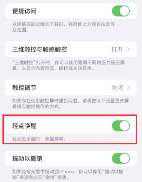 文成苹果授权维修站分享iPhone轻点无法唤醒怎么办 