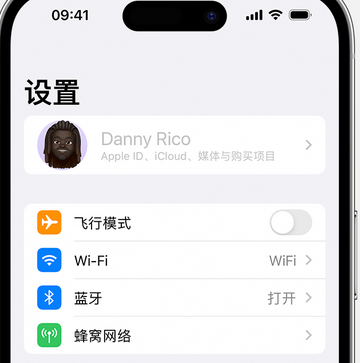 文成appleID维修服务iPhone设置中Apple ID显示为灰色无法使用 