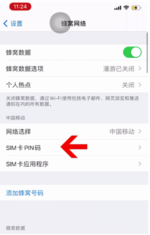 文成苹果14维修网分享如何给iPhone14的SIM卡设置密码 