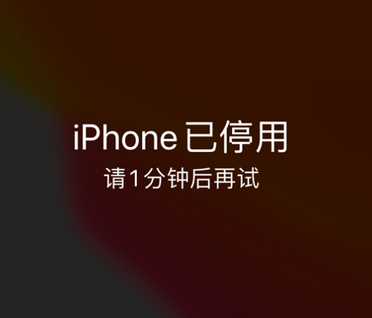 文成苹果手机维修分享:iPhone 显示“不可用”或“已停用”怎么办？还能保留数据吗？ 