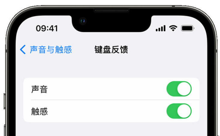 文成苹果手机维修分享iPhone 14触感键盘使用方法 