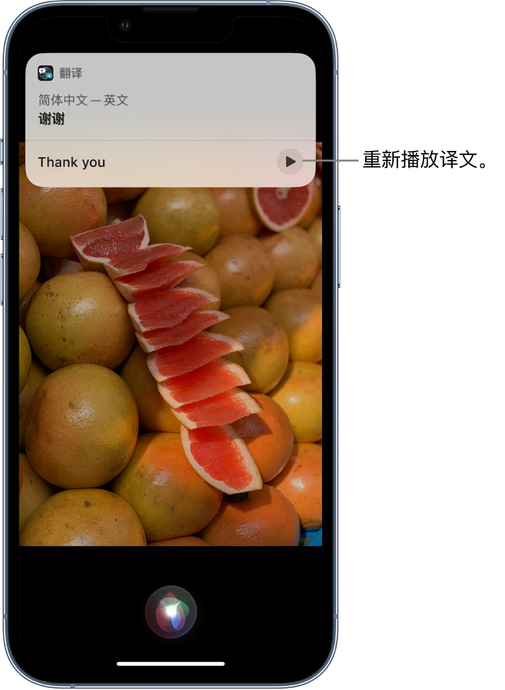文成苹果14维修分享 iPhone 14 机型中使用 Siri：了解 Siri 能帮你做什么 