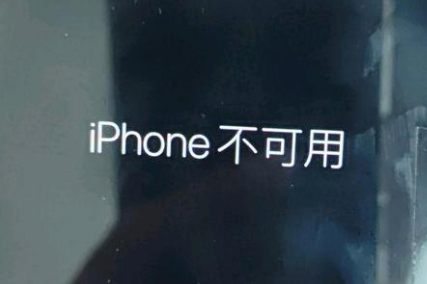 文成苹果服务网点分享锁屏界面显示“iPhone 不可用”如何解决 