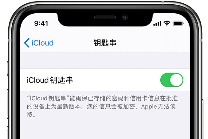 文成苹果手机维修分享在 iPhone 上开启 iCloud 钥匙串之后会储存哪些信息 